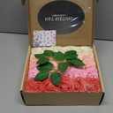 N&T NIETING Artificial Flowers 50pcs Real Touch Faux Flowers Bulk with Stems for DIY Wedding Bouquets Bridal Shower Centerpieces Floral Arrangements Party Valentine's Day Home Decorations(Series Red)