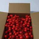 24 Pcs Artificial Red Berry Stems,7.9 Inch Christmas Berries Picks for DIY Crafts, Christmas Tree, Wreath, Berry Branch for Wedding Home and Party Decor