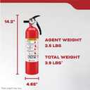 Kidde, FA110G, Multi Purpose Fire Extinguisher for Home, Office, Dorm, Residential, 1A10BC