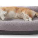 FURTIME Washable Dog Bed Medium Size Dogs, Rectangle Comfy Fluffy Small Dog Beds, Removable Zipper Cover Machine Wash, Soft Orthopedic Bed Durable Pet Cuddler with Anti-Slip Bottom, 25"x21"x7", Grey