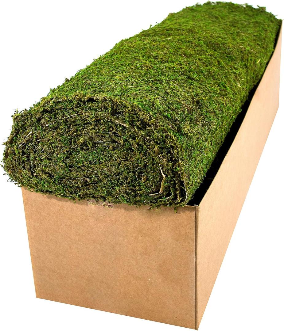 SuperMoss (22395) Instant Green Moss Mat - Preserved Moss Sheet for Table Runners Crafts Garden Decor and Green Wall Displays, 3ft x 24ft