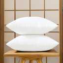 Set of 2, Square Decorative Throw Pillows Inserts Down Alternative Pillow Insert for Bed Sofa, 16 X 16 Inches