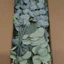Eucalyptus Leaves Stems 60 PCS, 4 Kinds Mixed Artificial Greenery Stems for Wedding Decor Vase Floral Arrangement Centerpiece