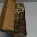 17 Inches Natural Dried Millet Flower Bouquet for Decor, 22-25 Stems Home and Wedding Decoration (White)