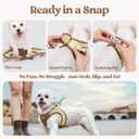 Rabbitgoo Dog Harness Small Sized and Leash Set, Step in Soft Light Puppy Vest, Breathable Mesh Pet Harness, Reflective for Safe Easy Walking, Brown & Beige, M