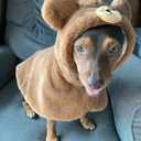 YQYS Dog Cat Halloween Costumes Warm Plush Poncho for Small Dogs Kitten Halloween Outfit Costums for Teacup Dog Puppy Clothes for Chihuahua Yorkie Maltese Min Pin Pomeranian Poodle Teddy Bear Medium