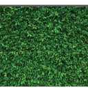LYWYGG 5X3FT Green Leaves Photography Backdrops Mmicrofiber Nature Backdrop Birthday Background for Birthday Party Seamless Photo Booth Prop Backdrop CP-87-0503