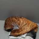 Red Panda Sherpa Blanket Cute Panda Fleece Throw Blanket for Kids Boys Girls Wild Animal Decor Plush Blanket Jungle Wildlife Style Fuzzy Blanket for Sofa Bed Couch,Throw 50x60 Inches (Multi 4)