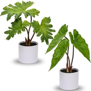 Hollyone Fake Plants Set of 2 Artificial Potted Plants Faux Plants Begonia Plants in White Pots Real Touch Leaves for Office Table Desk Shelf Bathroom Bedroom Greenery Decoration Home Indoor Decor (2 Pack (White Pots))