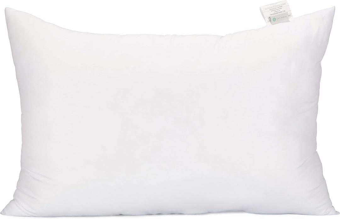 Acanva Fluffy Pillow Insert for Bed Sleeping, Decorative Stuffer Cushion Sham Filler, Queen 20x30 (Pack of 1), White