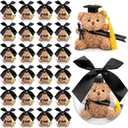 75 Pcs 2026 Mini Graduation Bear Bulk Set with 25 Graduation Gift Mini Stuffed Bears 25 Clear Plastic Fillable Ornament Balls and 25 Bow 2026 Party Favors(Black)