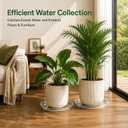 4 Pack 16 17 18 19 20 21 22 in Clear Plastic Plant Saucers for Indoors, Durable Plant Trays for Pots and Plant Water Catcher Tray with No Holes, Reusable Plastic Trays for Plants (19''-4Pack)