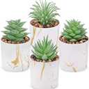 Der Rose Set of 4 Succulents Plants Artificial Mini Fake Succulents Plants for Office Desk Accessories for Women Home Decor(Green)