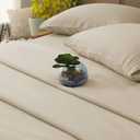 SONORO KATE Bed Sheet Set Super Soft Microfiber 1800 Thread Count Luxury Egyptian Sheets 16-Inch Deep PocketWrinkle and Hypoallergenic-4 Piece (Beige, Queen)