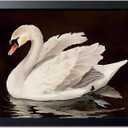 Black Wood Framed Wall Art Canvas Print Home Decor, Vintage Swan Aesthetic Wall Decor Photo, Classical Grace Swan Bathroom Prints Painting for Living Room Bedroom Office Decor 16x24 Inch