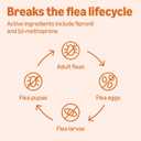 Amazon Basics Flea and Tick Topical Treatment for Small Dogs (5-22 Pounds), 3 Count, Packaging May Vary