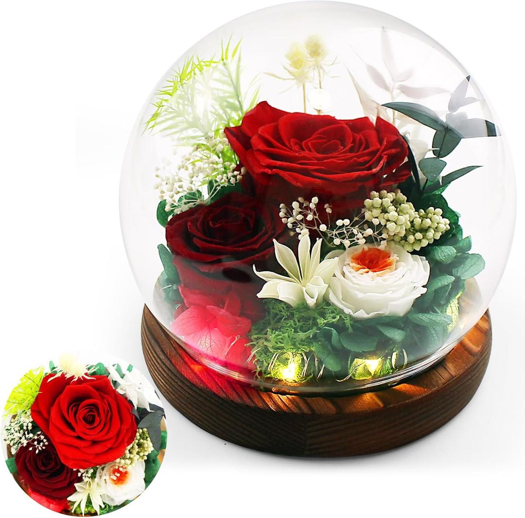 Gifts For Women Preserved Roses in Glass Dome,Red Roses Preserved Flowers Birthday Gifts for Women Red Forever Flowers for Delivery Prime Home Decor graduation gifts for her