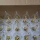 Dimmable LED Candelabra Bulb 25W Equivalent E12 LED Bulb 2700K Soft Warm White, Chandelier Light Bulbs, 2W 200LM Flame Tip CA10 Candle Light Bulb 24 Pack e12 Bulb.