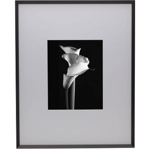 Mikasa Metal Portrait Frame, Displays 8x10 Photo with Mat, 16x20 without Mat, Black