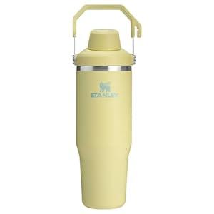 Stanley IceFlow 2.0 Fast Flow Tumbler with Handle 30 oz | Twist On Angled Spout Lid | Leakproof Water Bottle | Insulated Stainless Steel | BPAFree | Pomelo