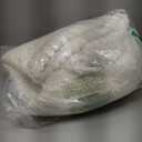 Smiry Non Slip Couch Covers for Dogs, Fuzzy Pet Couch Covers for 2-3 Cushion Sofa Pet Friendly, Soft Sofa Slipcovers Cushion Furniture Protector Washable (Beige, 27.6" x 59")