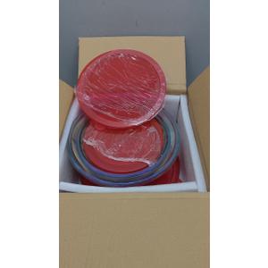 KOMUEE Glass Mixing Bowls with Lids Set, 4-Piece Nesting Kitchen Bowls for Salad, Serving, and Baking, Oven Safe Glass Bowl