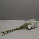 24.8-inch Artificial Baby's Breath Bulk 10PCS - Fake Gypsophila Flowers with Bendable Stems for Weddings, White Party Decorations, Home & Outdoor Floral Arrangements (White)