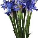 4 Bundle Real Touch Long Stems Iris Flower Silk Artificial Ireland Irish Iris Fake Flower for Wedding Decor Home Flower Arrangements Decoration (Blue)