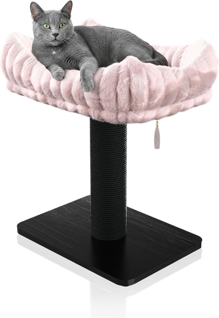 Modern Scratching Post for Indoor Cats - 15 High Cat Scratching Post with Bed Breeds - 15.7 x 11.6 Removable & Washable Cushion (Black Post with Pink Bed)