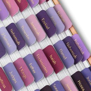 Mr. Pen- Bible Tabs, 75 Tabs, Berry Bloom, Gold Foil Embossed Lettering, Laminated Bible Tabs for Women and Men, Bible Tabs for Study Bible Index Tabs, Bible Book Tabs, Bible Labels Tabs