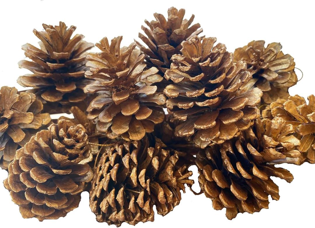 16 Pack Large Natural Pinecones, 1.97" - 2.95" Christmas Ornaments for DIY Crafts, Home Decorations, Thanksgiving Decorations, Fall and Christmas, Wedding DecorGolden
