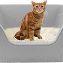 Extra Large Litter Box 21.45 x 16.14 x 10.43 Inches, Cat Box High Side One Piece Jumbo Litter Pan Anti Splashing Low Entry Cat Litter Tray Easy Clean for Small Medium Cat(Gray) (21.45x16.14x10.43 IN)