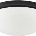 Nuvo 62/1444 Button LED Light Fixture, 17 in, Black