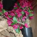 2Pack Artificial Bougainvillea Tree, Faux Silk Floral Tree Bougainvillea Plant with Flowers, Faux UV Resistant Shurbs Trees for Outside,Front Porch,Patio,Balcony Decor