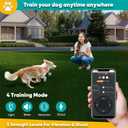 GPS Electric Dog Fence with Free App, Wireless Fence System with Training Collar, Portable for Outdoor Use, Rechargeable Waterproof Flexiable Collar, Adjustable of Dogs (Orange)