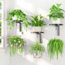 LASZOLA Plant Hangers Shelves Wall Mounted Indoor, Metal Window Plant Holders, 3Pcs Modern Floating Flower Display Stand with 3 Hooks for Outdoor Kitchen Bathroom Decor, Black