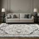 RUGICI Area Rugs 8x10,Washable Area Rug for Living Room,Low Pile Rug,Non-Slip Non-Shedding Bedroom Rug,Indoor Modern Carpet for Bedroom Kitchen Dining Room Home Décor (Grey, 8x10)