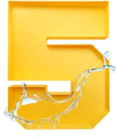 10inch Fillable Number Charcuterie Washable Sweet Food Box Birthday Centerpiece Decoration (Gold, Number 5)