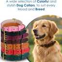 Genuine Leather Dog Collar 1" Wide Full Grain, Padded, Heavy Duty with Brass Buckle for Dogs (Medium (Fit Neck Size 14.5"-18.5"), Teal Green)
