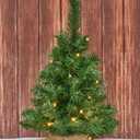 Small Christmas Tree 2ft Prelit Battery Operated Timer Lighted Artificial Green Mini Xmas Pine Trees Decorations Tabletop Centerpiece Mantel Home Decor