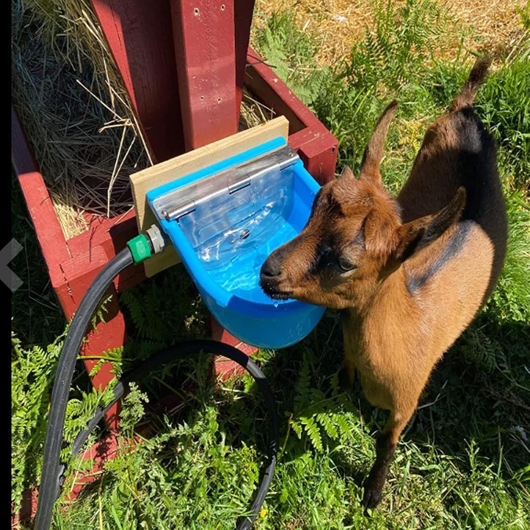 Automatic Water Bowl Plastic Livestock Waterer for Horse Cattle Goat Sheep Dog,Farm Grade Sheep Water Trough Bowl (with Drainage Hole & 39.37 inch Pipe)