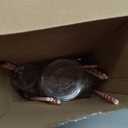 Jingmore 50 Pcs Party Disposable Plastic Cups 12 oz with Lids Straws Themed Party Supplies Plastic Tumbler for Birthday Table Decorations Favors(Strawberry 1st,Pink and Red)