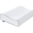 Sealy Contour Curve Memory Foam Pillow 20" x 15"