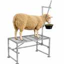 600lbs Goat Milking Stand with Adjustable Headpiece & Legs, Goat Stand with Removable Feeder, Sheep Stand for Shearing, Heavy-Duty Steel Platform for Grooming, Hoof Trimming (Silver, L-47 * 23Inch)