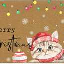 Merry Christmas Cat Coir Door Mats Outdoor, Winter Xmas Cat Welcome Front Door Mat Outside Entrance, Christmas Doormat Outdoor Indoor Entrance for Home Entryway Decor, Cats Gifts 17x30in
