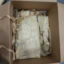 VEVOR Winter Gazebo Cover Fits 10 x 12 ft Hardtop Gazebos, All-Weather Gazebo Cover with Sidewalls & Mesh Windows, High-Density PE Material, Enclosed Storage Shelter Covers, Gazebos not Included