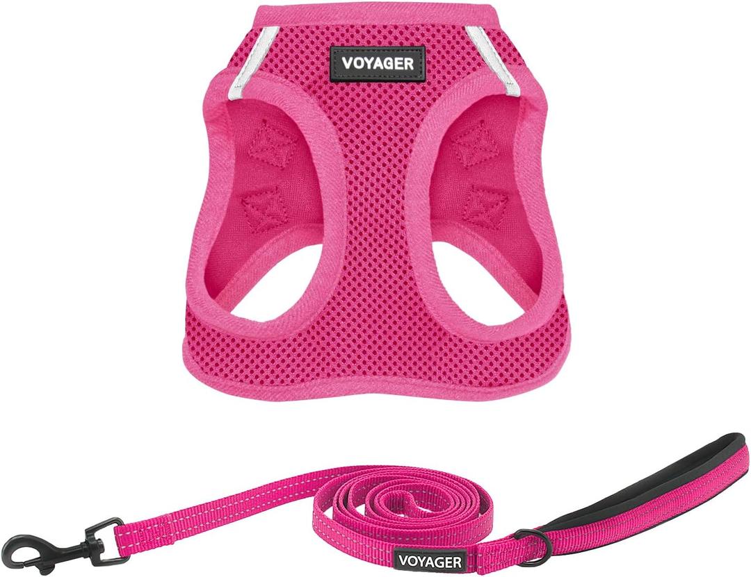 Best Pet Supplies Voyager Step-in Air All Weather Mesh Harness and Reflective Dog 5ft Leash Combo with Neoprene Handle, for Small, Medium and Large Breed Puppies - Fuchsia, XXX-Small