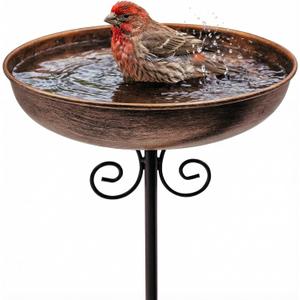 Small Metal Bird Bath for Outdoors, 10" Dia Bowl with Stake Birdbaths Garden Yard Lawn Decor 0.4 Gallon
