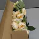 6 Pack 32" Artificial Peonies Flowers for Vase(Vase Not Included)-6 Stems Faux Peony with 42 Silk Heads, Fake Long Stem Flowers for DIY Bouquets Wedding Centerpieces Home Decor (Beige)