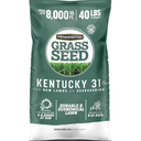 Pennington Kentucky 31 40-lb Tall Fescue Grass Seed